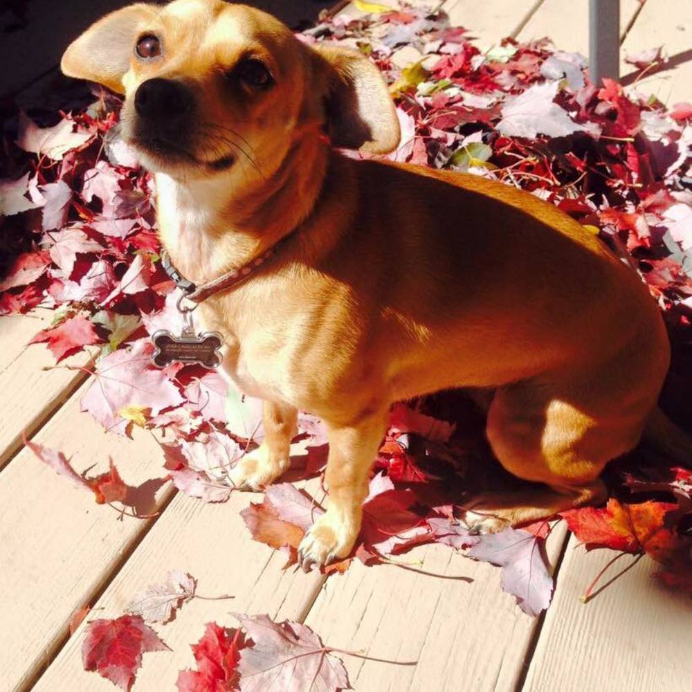 Meet your Posher, Colleen